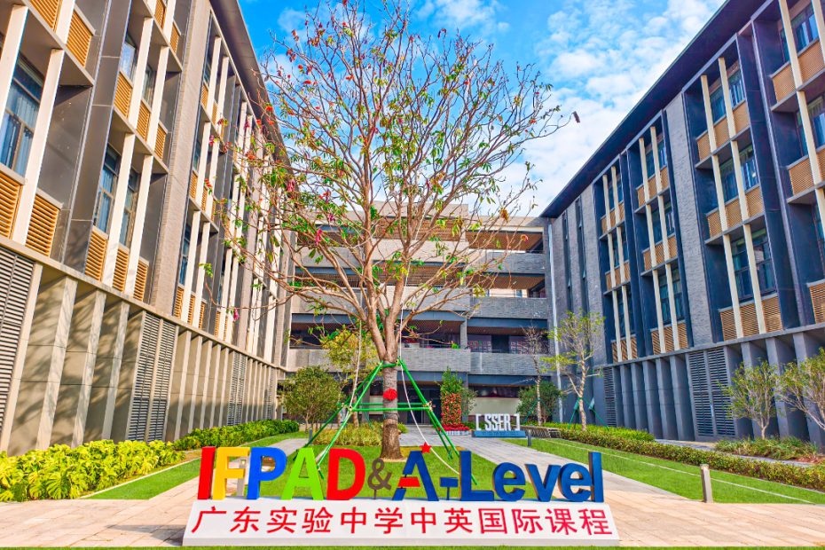 广东实验中学白云校区 IFPAD&A-Level 种植的无忧树